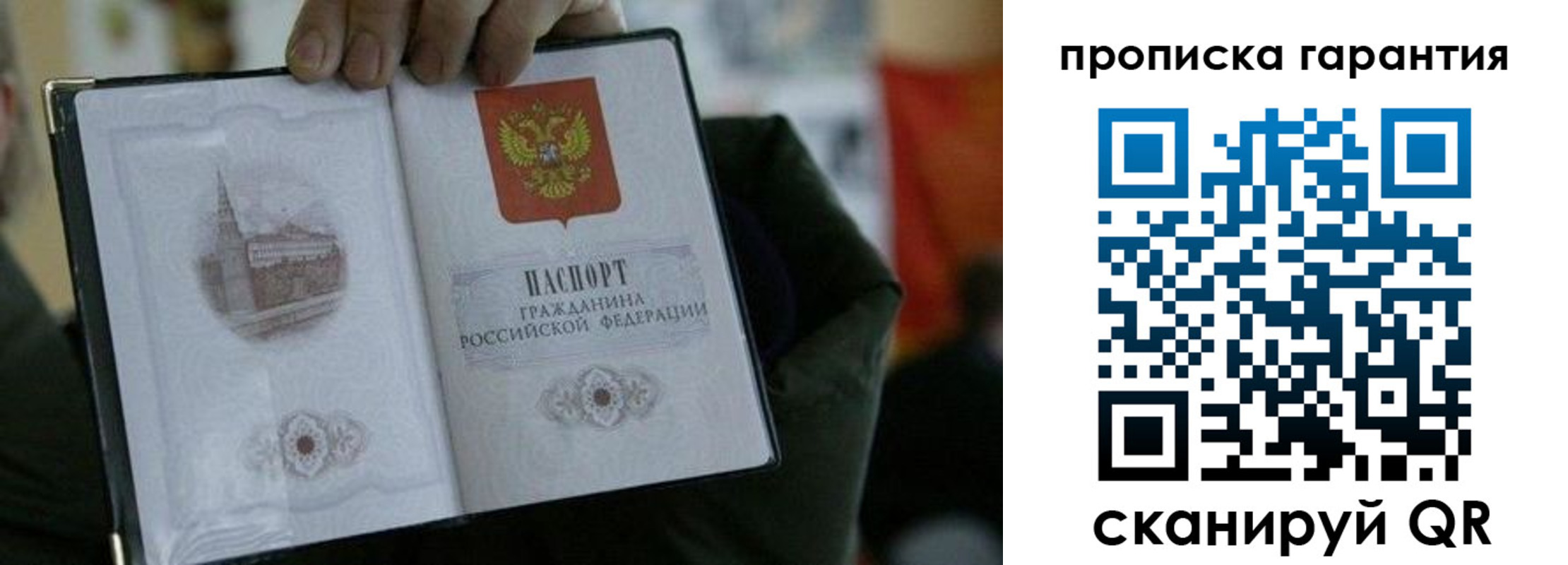 найти адрес прописки в Вольске